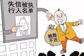 北辰贷款清欠服务